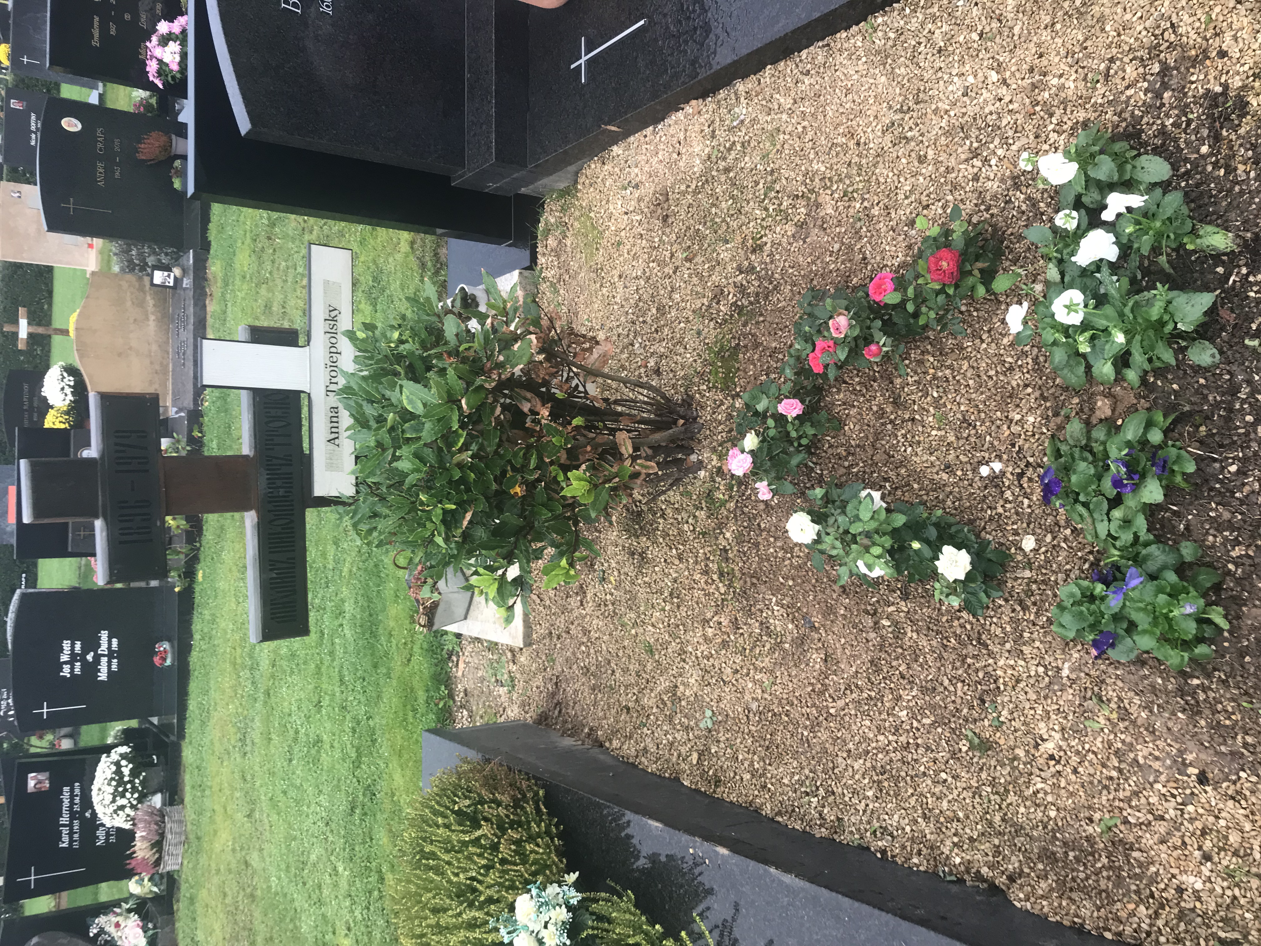 Any Tervueren. Any et Papa reposent en paix. Roses et pensées pour la Toussaint. 2024-10-30